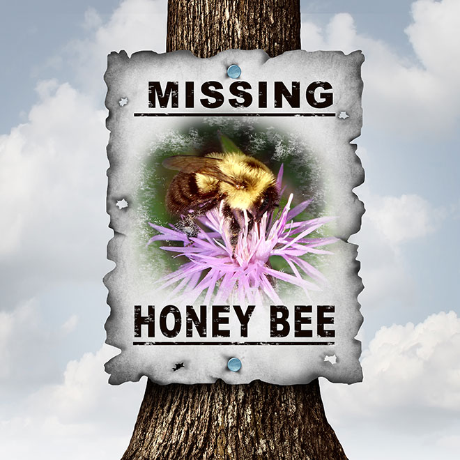 Bees, look out for them please.